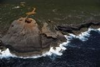 Känguruh Island-SA Ki1.jpg